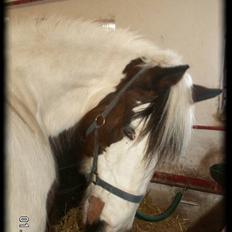 Tinker » Kalinka - DENGANG :'(