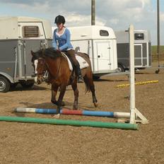 Anden særlig race Max - gammel privat part