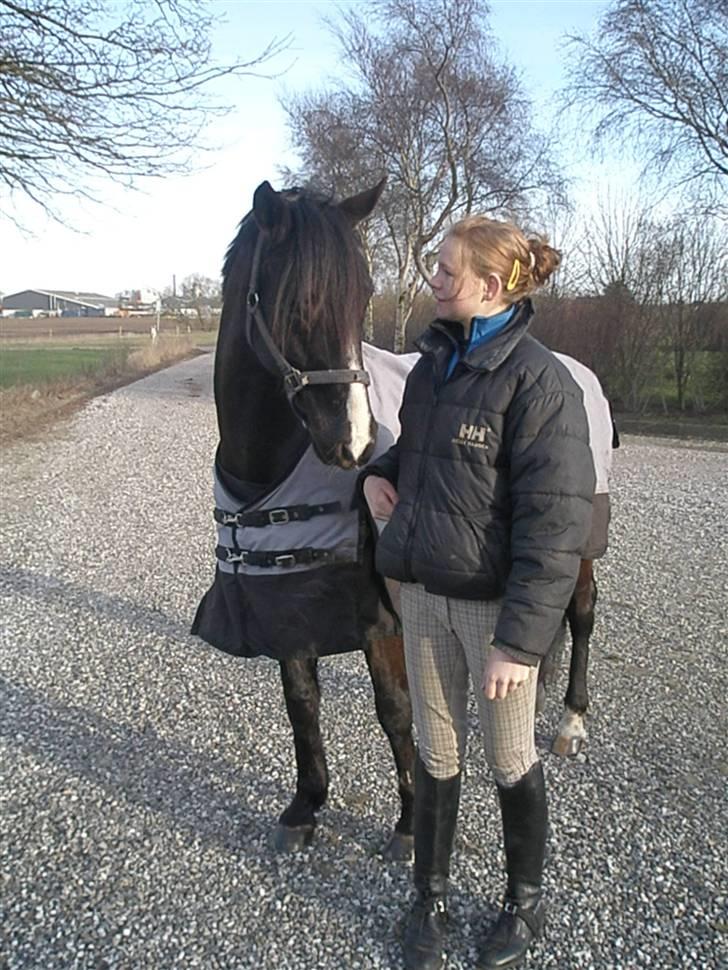 Anden særlig race Armani billede 2