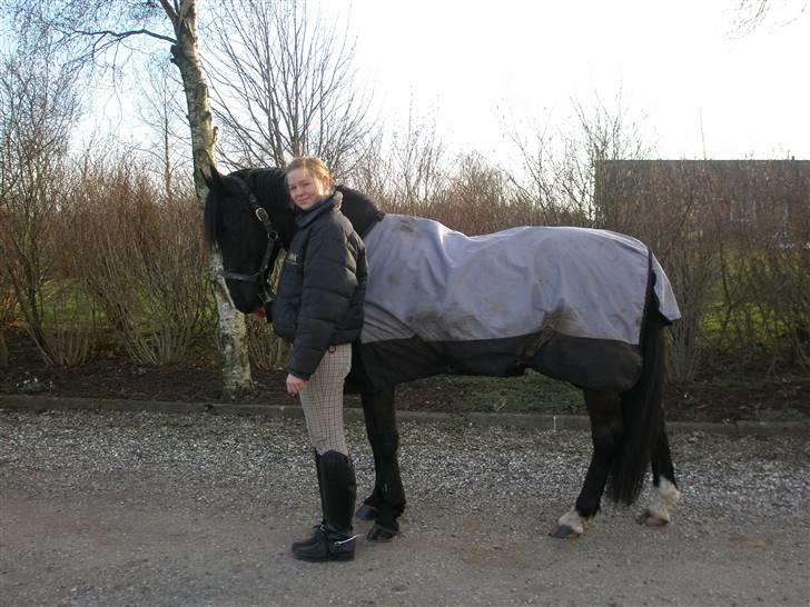 Anden særlig race Armani billede 4