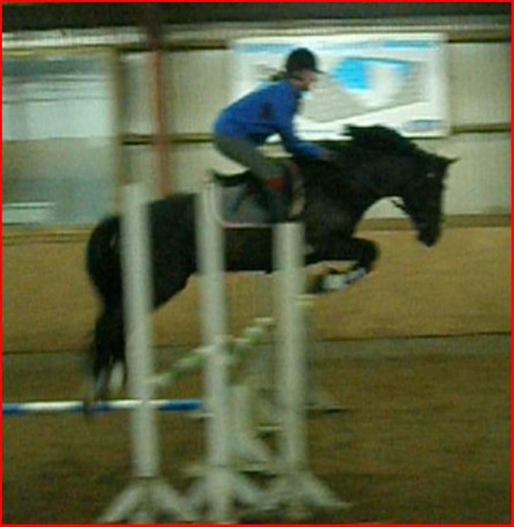 Anden særlig race Armani - taget ud fra video billede 5