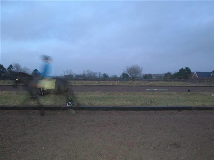 Anden særlig race Armani - Spøgelseshesten :o) billede 11