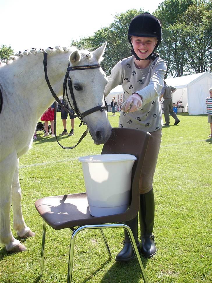 Anden særlig race I WIL LOVE YOU 4-EVER!!!! - her var vi til dyre skue, hvor vi legede pony gams det var mega sjovt XD  billede 6