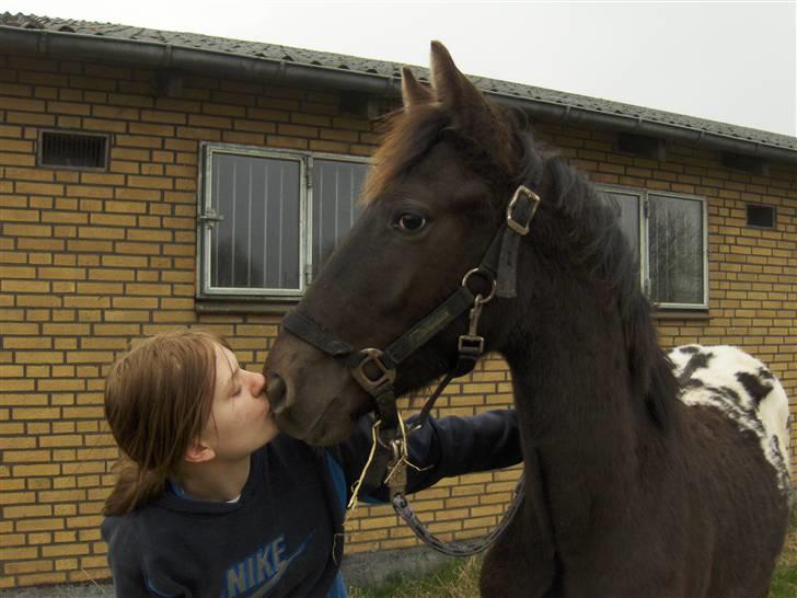 Knabstrupper Toftegaardens Lexus - Uh, mig og Heidi kysser ;) {Foto: Pernille} billede 17