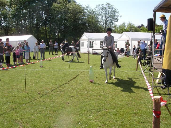 Anden særlig race I WIL LOVE YOU 4-EVER!!!! - her var vi til dyre skue, hvor vi legede pony gams det var mega sjovt XD  billede 9