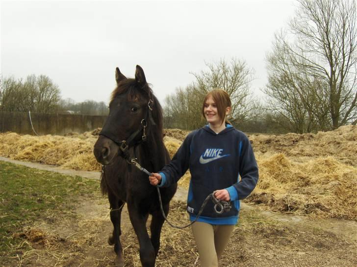 Knabstrupper Toftegaardens Lexus - Ude at gå en tur med Heidi ;D {Foto: Pernille} billede 19
