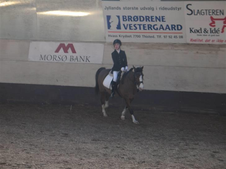 Anden særlig race Diana billede 18