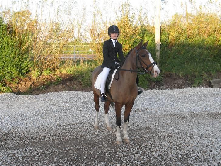 Anden særlig race Diana - Yndlings billede af mig og min søde pony(: billede 19