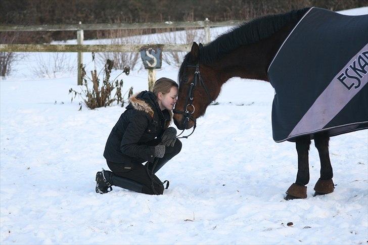 Anden særlig race Bonnie  - Elsker den pony !  Sidste dag som halvpart :-( Foto: Joan billede 9