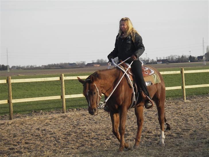 Quarter Treatme Lika Leaguer billede 2