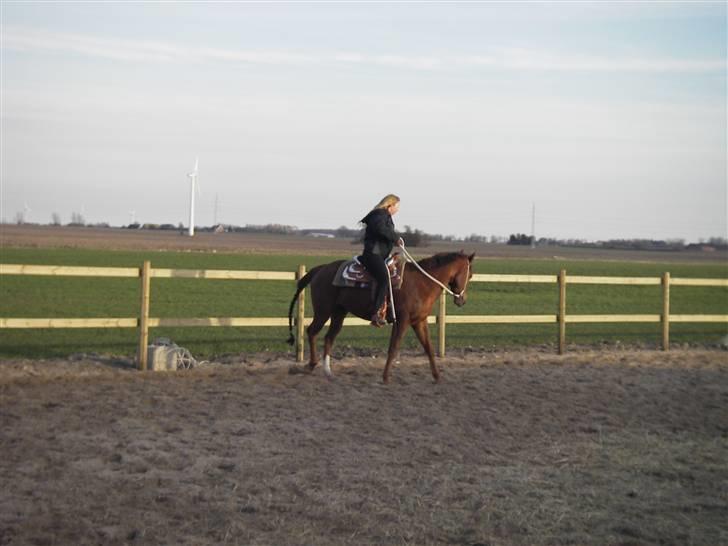 Quarter Treatme Lika Leaguer billede 11