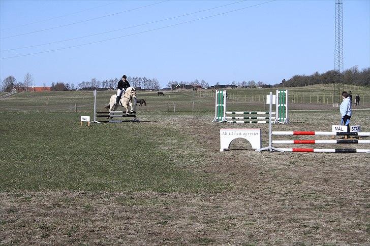 Fjordhest Luffe - stævne i 2010 billede 7
