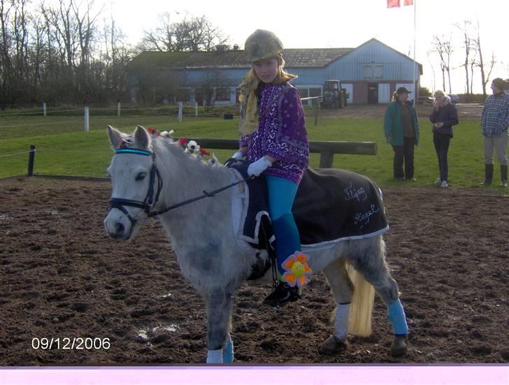 Welsh Mountain (sec A)  "R.I.P."  Flying Angel - Haha fun billede 10