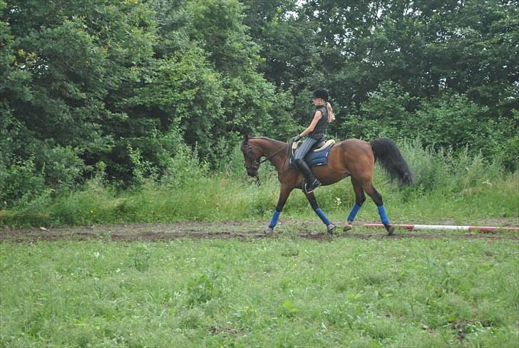 Traver charlie min skat <3 søde - charlie min skat uuuuuuu ;D billede 12