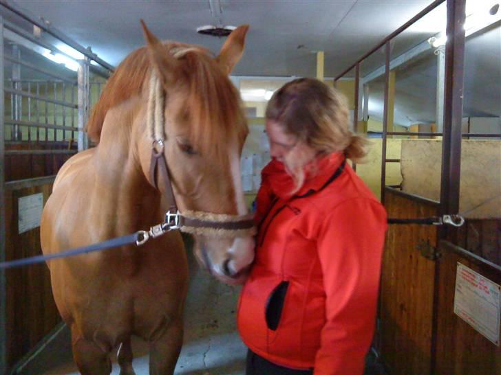 Anden særlig race Strejfer  - Fordi jeg elsker dig bassemand´´ <3  billede 7