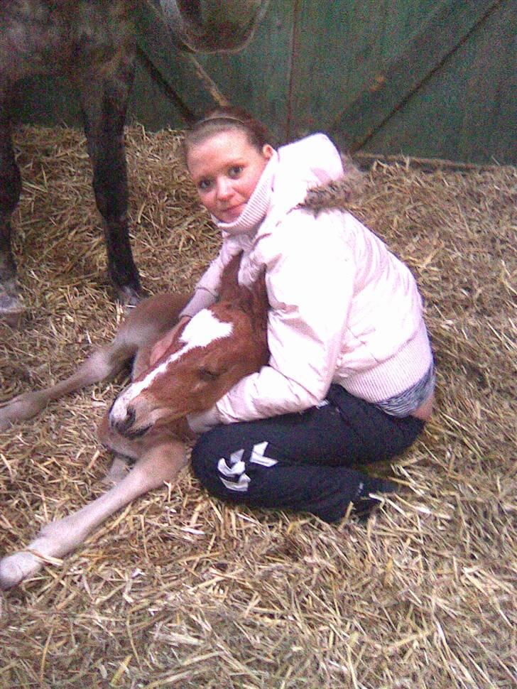 Anden særlig race Eclipse of the Moon SOLGT - Igen :) ´ deen fedeste følelse at have sådan en lille en i aremene . et minde man altid vil have :)  billede 6