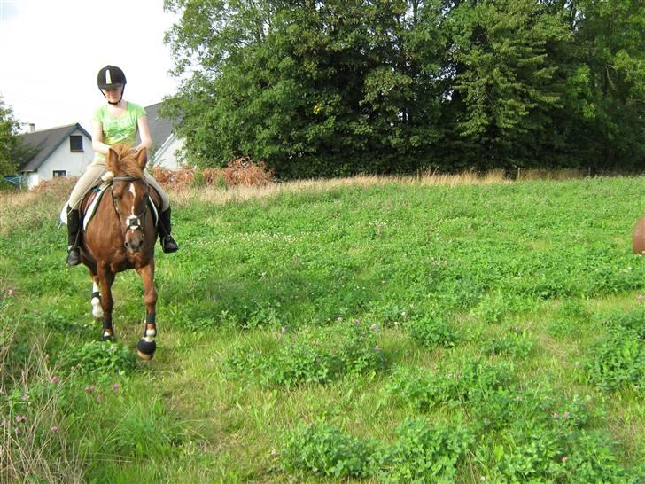 Anden særlig race Little Girl      R.I.P billede 18