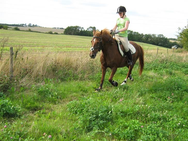 Anden særlig race Little Girl      R.I.P billede 19