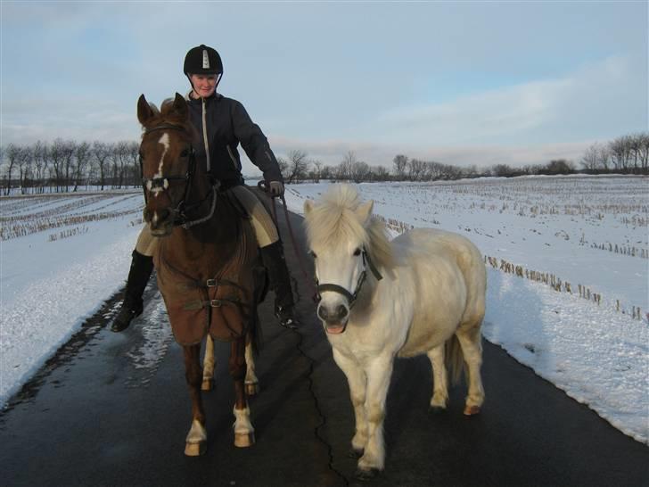 Anden særlig race Little Girl      R.I.P - Tur den 31 Januar 2010 billede 20