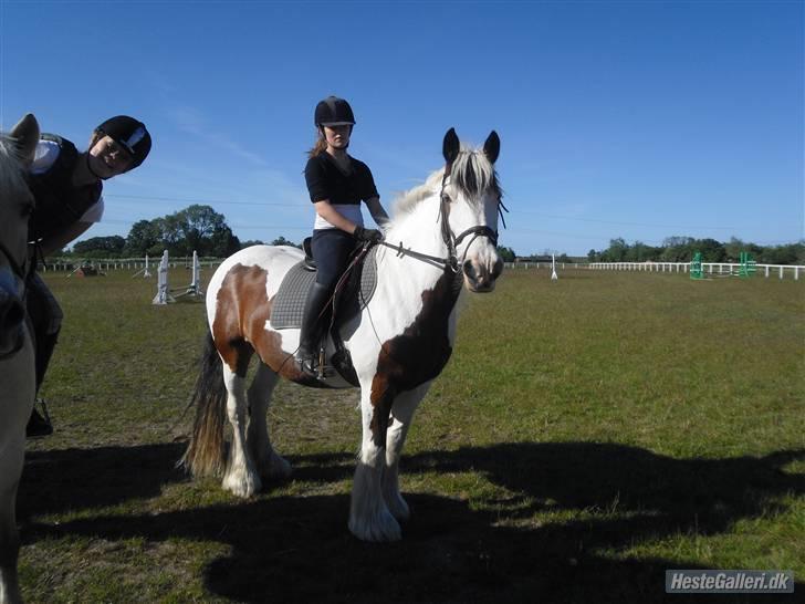 Tinker » Kalinka - DENGANG :'( - *3* På springbanen i sommers 09 - Foto: Kan ikke huske /; billede 3