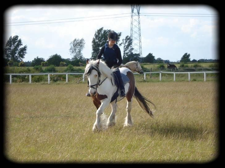 Tinker » Kalinka - DENGANG :'( - *5* På springbanen 09 - Foto: Line Sørensen billede 5