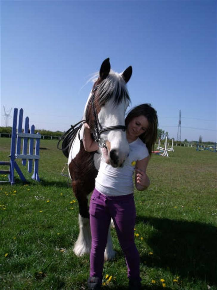 Tinker » Kalinka - DENGANG :'( - *18* elsker den pony !! ;D - Foto: Sophie Frost billede 18