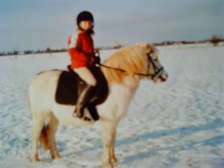 Anden særlig race Silver (Gammel Part)R.I.P - Ca. 3 år gammelt billede billede 19