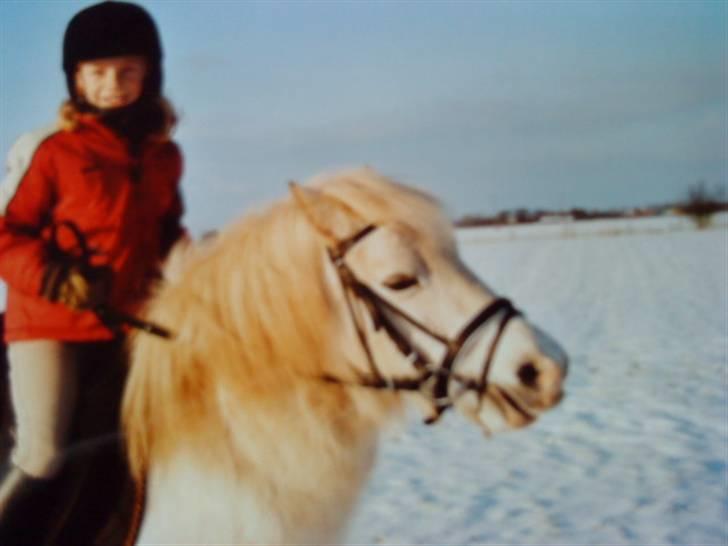 Anden særlig race Silver (Gammel Part)R.I.P - Silver du vil altis være elsket og savnet:( billede 20