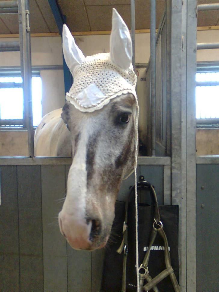 Anden særlig race Leifi <'3 - klæder den her hut mig ?  billede 12