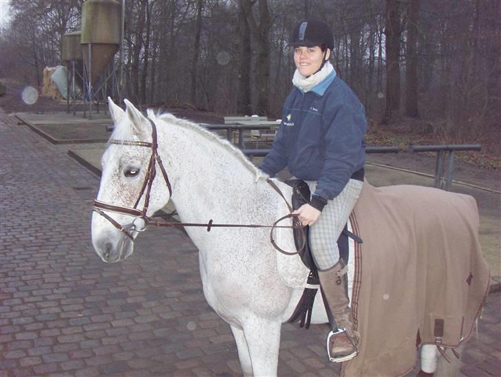 Lipizzaner Klaus † R.I.P. † - Vinter 09 billede 4