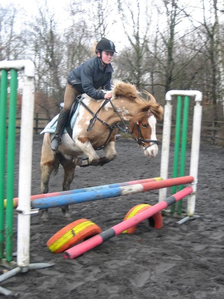 Anden særlig race Pinocchio *SOLGT /':* - Springtræning billede 12