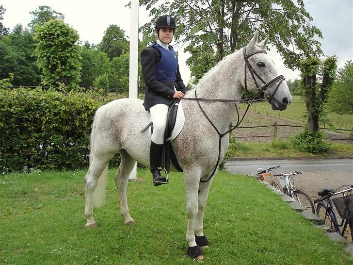 Lipizzaner Klaus † R.I.P. † - Til Klubmesterskab 2007 billede 6