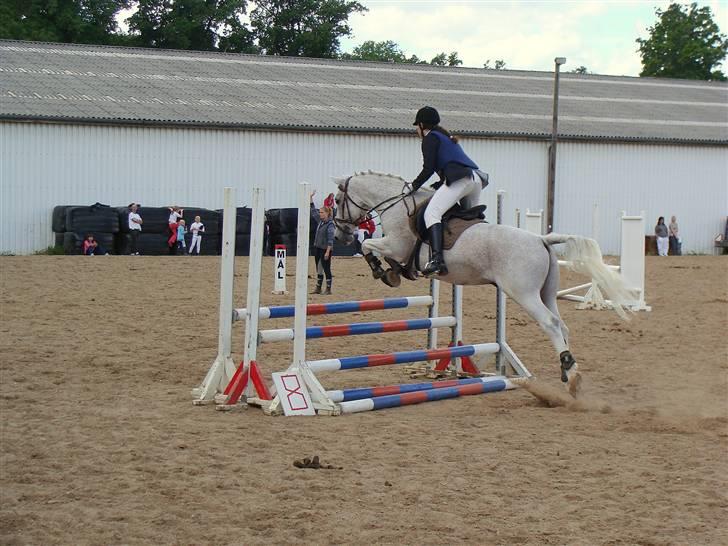 Lipizzaner Klaus † R.I.P. † - Klubmesterskab 2008 billede 7