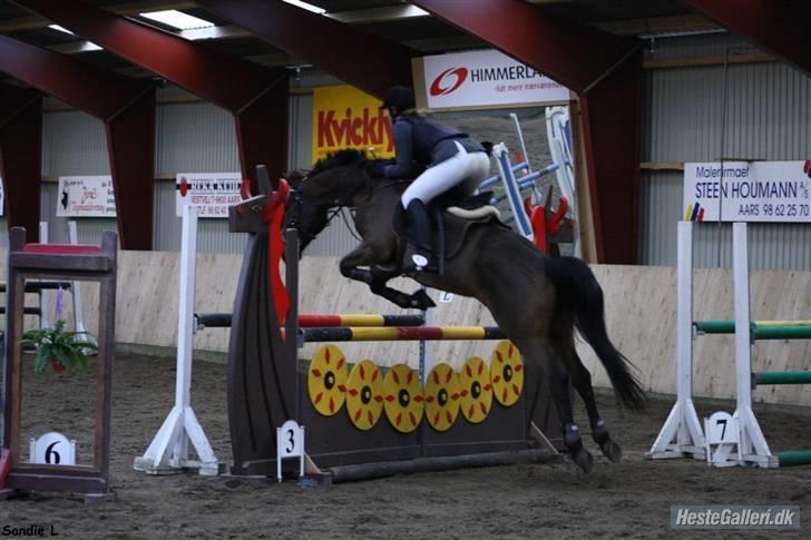 Anden særlig race Loco Caballo - Sandie L har taget billedet. LB 22/3 03 aars billede 10