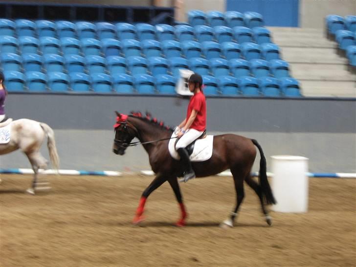 New Forest I. Ådahl-Kimbely (Kimbely billede 3