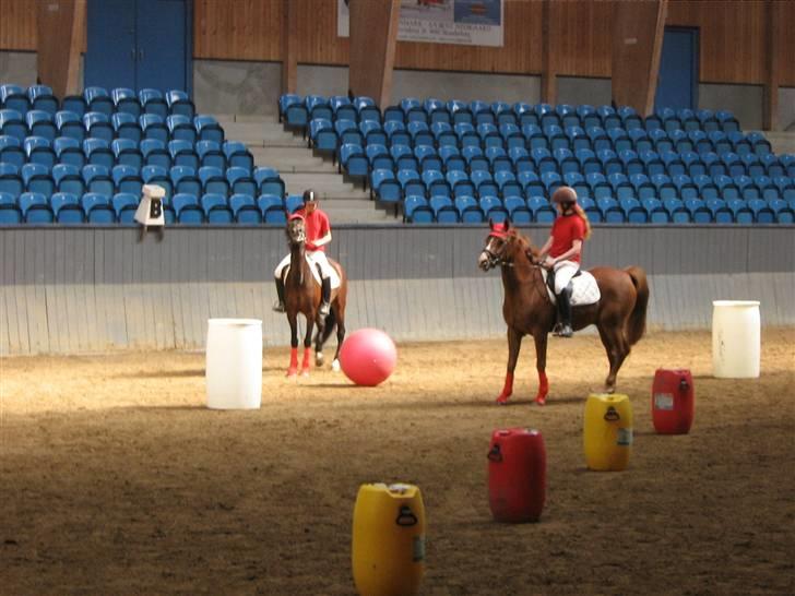 New Forest I. Ådahl-Kimbely (Kimbely billede 4