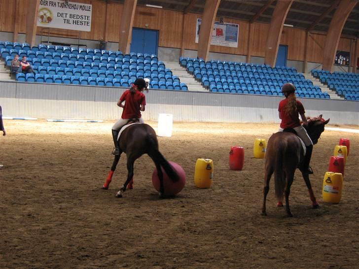 New Forest I. Ådahl-Kimbely (Kimbely billede 5