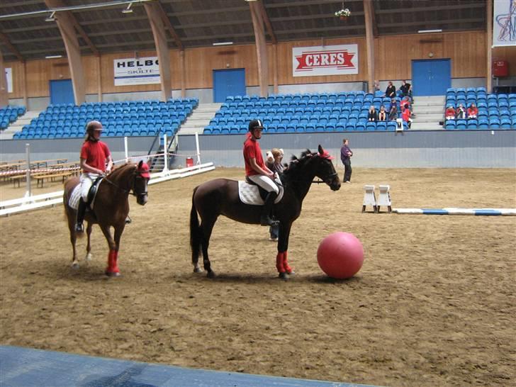 New Forest I. Ådahl-Kimbely (Kimbely billede 6