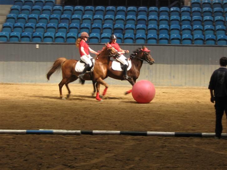 New Forest I. Ådahl-Kimbely (Kimbely billede 9