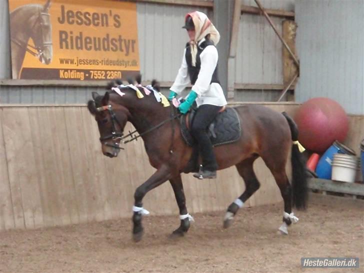 New Forest I. Ådahl-Kimbely (Kimbely billede 11