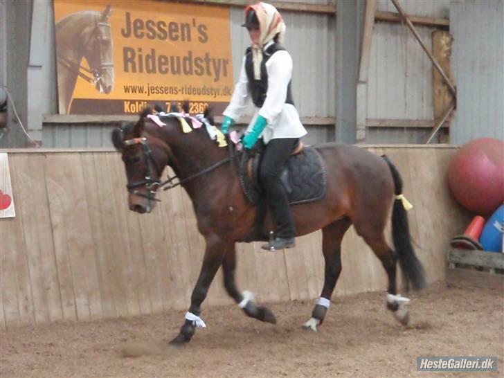 New Forest I. Ådahl-Kimbely (Kimbely billede 12