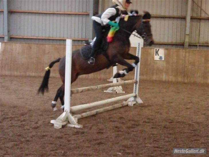 New Forest I. Ådahl-Kimbely (Kimbely billede 18