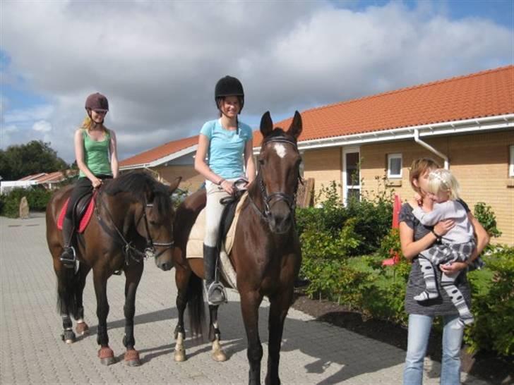 Traver Godiva pride<3 R.I.P ;( - mig&diva  &   sille&malou ;D  billede 6