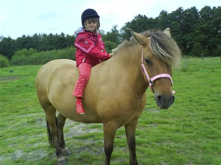 Anden særlig race Altesse - Altesse med Rosa på ryggen :) billede 7