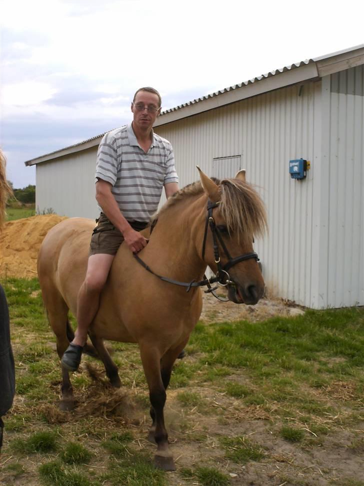 Anden særlig race Altesse - Altesse med min far på ryggen :) billede 13