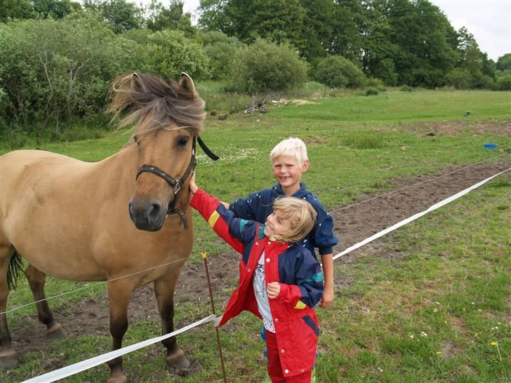 Anden særlig race Altesse - hun er ret glad for alle der vil snakke :) billede 18