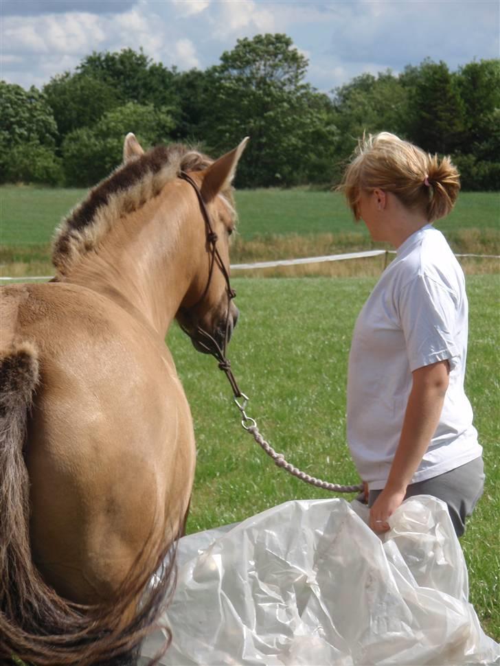 Anden særlig race Altesse - Vi leger med plastic .. billede 19