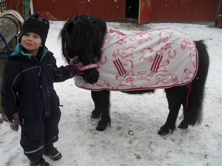 Anden særlig race soffie( mit æsel) - fordi tobias elsker dig og i er søde sammen billede 3