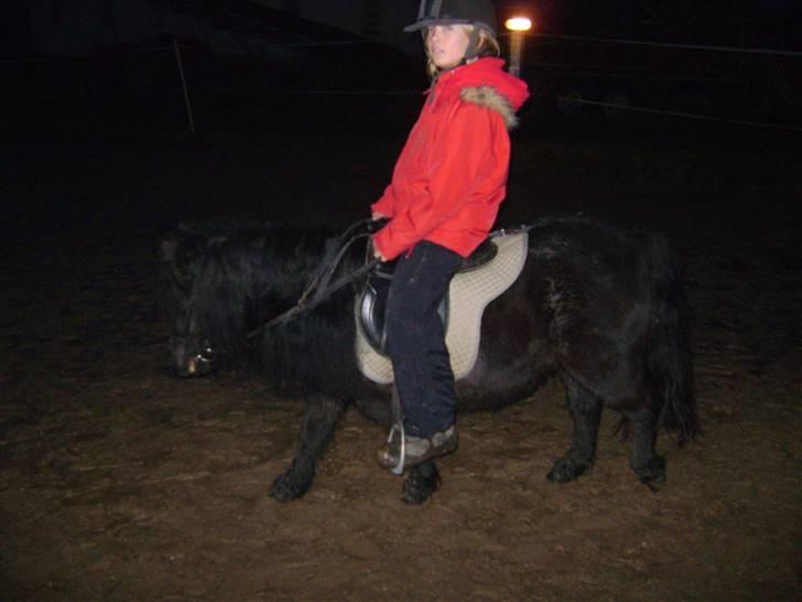 Anden særlig race soffie( mit æsel) - fordi dig og freja passer sammen billede 7