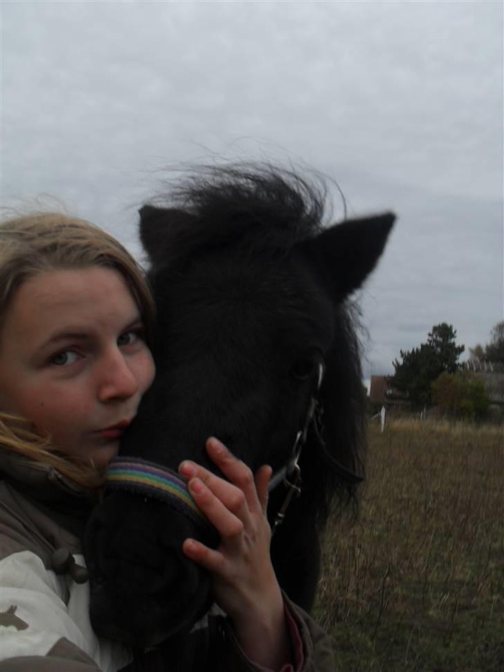 Anden særlig race soffie( mit æsel) - fordi jeg elsker dig :) billede 11